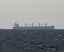 트럼프 달래기? '파병거부' 유럽+일본 7개국 "호르무즈 봉쇄 규탄"