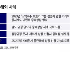 일본 중복상장 절반으로 뚝↓…"까다로운 공시, 정부압박 통했다"