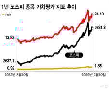 "알짜 떼고 주가 3분의 1토막" 분통…'코리아 디스카운트' 키운 중복상장