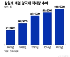 LFP·LMR·미드니켈…중국 상대 K배터리, 중저가 라인업 '영끌'