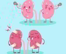 "피곤해서 그런가?" 식욕도 없고 한밤중 다리에 '쥐'...콩팥의 비명 [한 장으로 보는 건강]