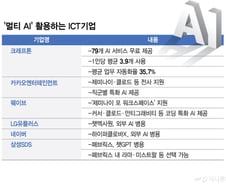 "기획은 챗GPT, 코딩은 클로드"…ICT 업계, '멀티 AI' 전쟁