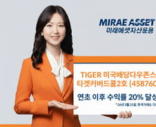 TIGER 미국배당다우존스타겟커버드콜2호, 수익률 20.25%