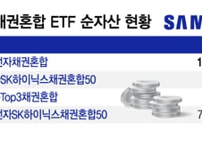 "퇴직연금에 삼성전자 더 담자"…채권혼합 ETF 자금 몰려
