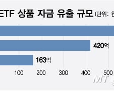 수익률 21%인데 자금 빠져나간다…화장품 ETF, 왜?