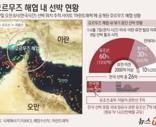 '호르무즈 통행료 공동징수' 손내민 이란에 오만 "국제법상 불가"