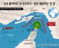 호르무즈 개방 더딘 이유가…"이란, 기뢰 위치 몰라 제거도 못해"
