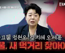 윤희숙 "콩고물 정원오·겉치레 오세훈과 완전 이별해야"[터치다운the300]