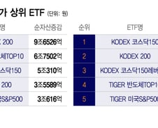 반도체만 대박? "여기도 돈 몰린다"...ETF, 남들은 뭐 샀나 보니