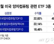 '양자의 날'에 양자컴퓨팅 ETF 반등…수익률 싹쓸이 이어갈까