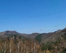 '연금' 된 산바람…태백시민에 20년 수익 안긴 가덕산[넷제로 케이스스터디]