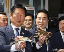 "완전 팬" 보령 찾은 정청래…"엑셀런트 국회의원" 지원사격[현장+]