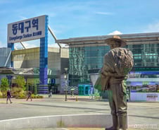 "부갬이가 남이가"vs"여까지 떼가뿌면 우야노"…최대 격전지 된 대구[르포]