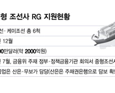 조선업 불황 때 RG 지원 떠안은 수은.."억울하다" 무슨 사연?