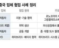 중국차의 또 다른 전략…직접 진출보다 무서운 '간접 침투'