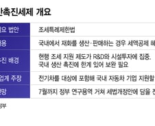 "안방 뺏길 판…전기차, 생산세액공제 포함해야" 커지는 목소리