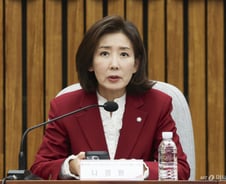 나경원 "타도할 괴물은 국회…꼼수 개헌 대신 '의회해산권' 논의해야"