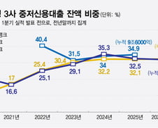 중금리대출 규제 다 지키고 있지만 '체리피킹' 저격당한 인뱅들, 왜?