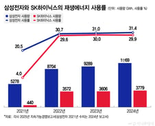 삼전닉스도 없어서 못 산다…"생존 걸려" 재생e 확보 '발등에 불'