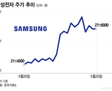 27층 안착에 일단 '휴~'…"삼전 진짜 파업?" 4% 요동친 주가, 향방은
