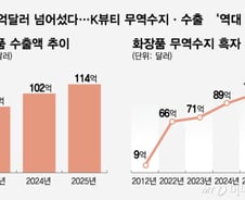 "한국식 관리법" SNS 난리더니…가성비 꼬리표 뗀 K뷰티 '세계 2위'