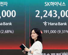 삼전닉스는 올랐는데..."2배 뛰는 거 아니었어?" 레버리지 ETF 하락, 왜