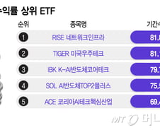 "삼전닉스만 봤다가 후회"...'이 종목' 담은 ETF, 한달 최고 수익률 81%