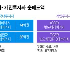 "국장서 두배 삼전·닉스 사자"…홍콩 간 개미들 돈 돌아온다