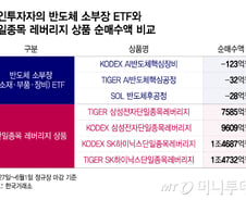 반도체 ETF도 양극화…'AI 수혜' 여부에 개인투자자 선택 갈렸다