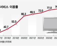 "놀이공원 대신 넷플릭스"…변한 여가 소비, 줄어든 존재감 어쩌나