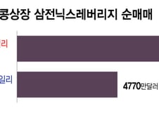 "9조 몰렸는데 홍콩 순매도는 2천억"…서학개미 복귀 효과 '미미'