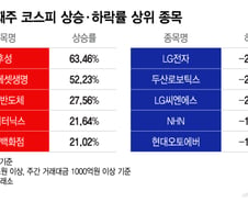 '공포지수 최고' 삼전도 빠졌는데..."외국인 줍줍" 일주일 새 63% 뛴 종목[김근희의 증시 랩업]