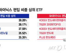 "메타버스주에 삼전닉스?" 너도나도 담는다…ETF 삼킨 반도체 '투톱'