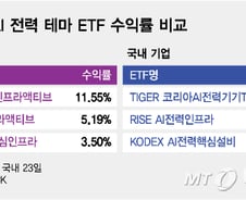 같은 AI전력 ETF…미국 12%↑, 한국 24%↓ '엇갈린 성적표'