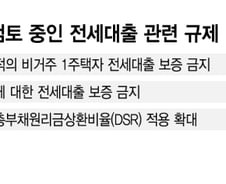 "대한민국에만 있는 사금융"…집값 올린 '전세대출' 대수술