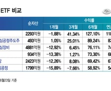 공포에 주워야 하나..."다음 랠리 주인공" ETF 6개 수익률은[ETFvsETF]
