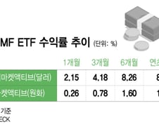 '이왕 굴리는 자금, 달러로...' 달러 파킹형 ETF가 13배 수익률 높아