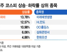 "삼전닉스 던진다" 코스피 와르르...이 때 오른 종목은?[김근희의 증시 랩업]
