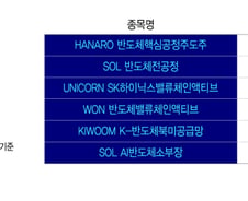 "삼전닉스 말고 이거 살걸"…'38.6% 폭발' 형보다 아우가 잘 나갔다