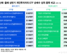 "국장 복귀는 지능순" 말 돌더니…'85조 싹쓸이' 개미, 최애 ETF는?