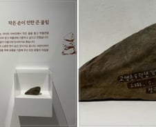 평범한 돌인데 "유물 발견, 기증!"...꼬마 순수함에 박물관 '특별전시'[오따뉴]