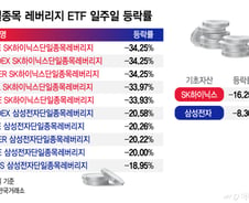 하닉 16% 뛸 때 레버리지 27% '뚝'…동시호가 맹점에 개미 '피눈물'