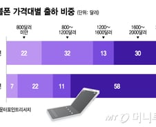 '인상' 써도 '주름' 쫙 폈다...'300만원대 폴더블폰' 통할까