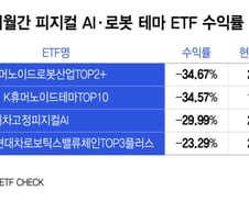 현대차 담은 ETF 수익률 우수수… 피지컬AI 대장주, '반짝'에 그칠까