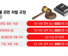 딥페이크 성범죄 처벌 강화에도 '법 해석' 논란 여전