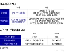 "흙수저만 잡았다" 가계대출 '양적규제'→'질적규제' 바뀌나