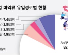 10만원에 '찬술' 사고 "20알 삼켰다" 자랑…10대 '마약 놀이터' 된 SNS