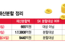 [표]1심·2심·파기환송심별 최태원·노소영 재산분할액