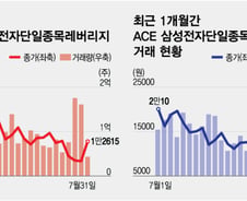 단일종목 레버리지 ETF '예탁금 상향' 단기 효과 있었다