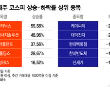 7천피 붕괴 와중에도..."55% 올랐다" 블랙데이 살아남은 주식[김근희의 증시 랩업]